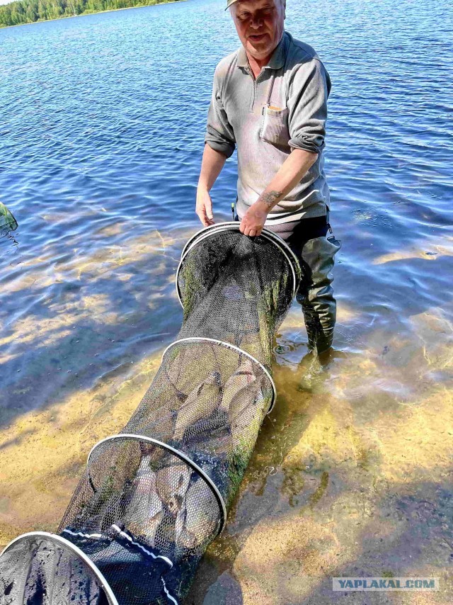 Рыбалка на платном водоёме