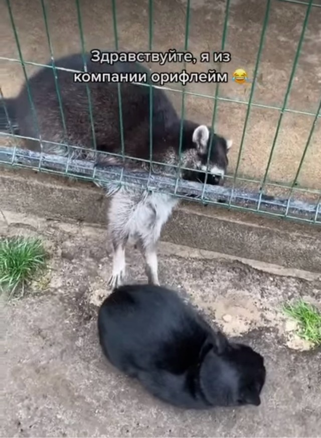 Завалялось тут случайно немного забавных картинок