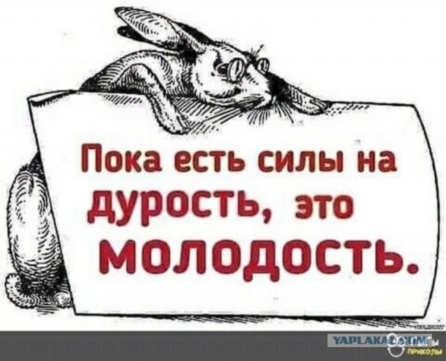 Снова Настя