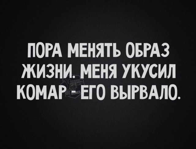 Быстрая деградация