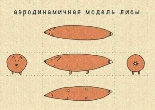 Так себе картинки 13.06.25