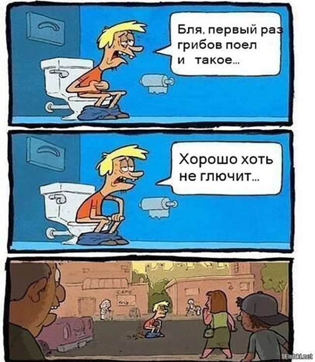 Одна доза психоделических грибов снимает депрессию на 5 лет — исследование