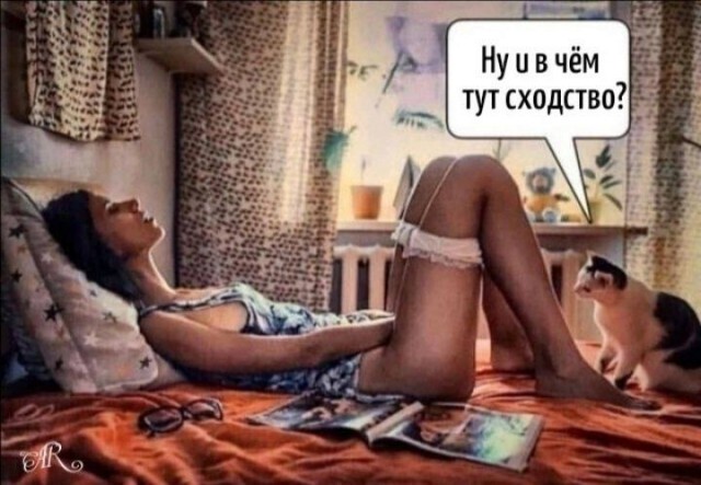 Забавные и не очень скромные картинки - 7