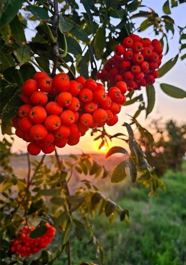 Осенние картинки