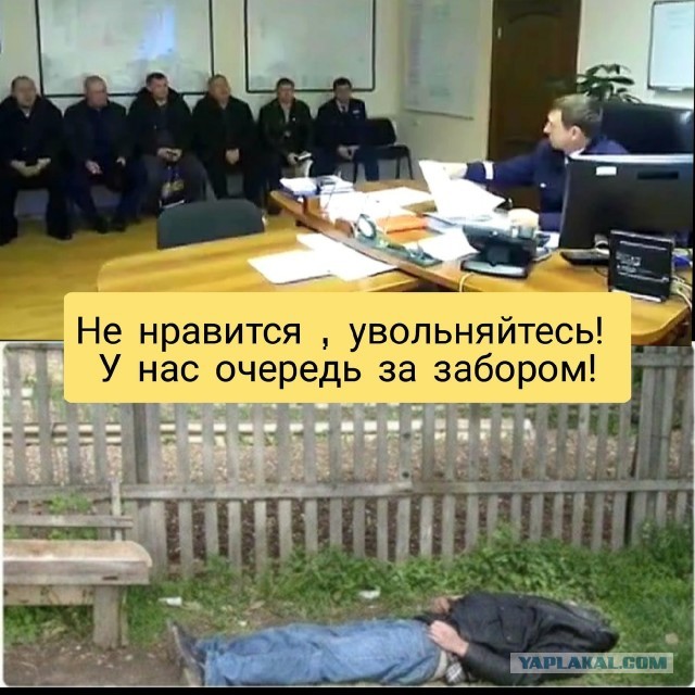 Или вари сам