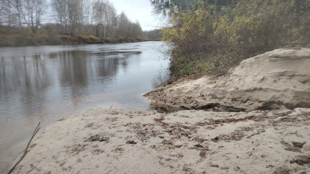 Позднеосенняя прогулка.И вселенская тоска.