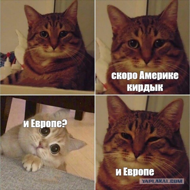 Матвиенко заявила о «затягивании поясов» в Европе
