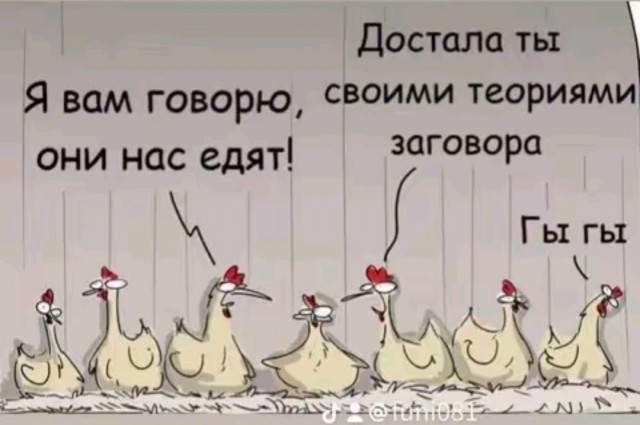 Так себе картинки 06.12.25