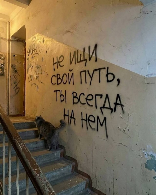 Картиночки, баянчики 20 января