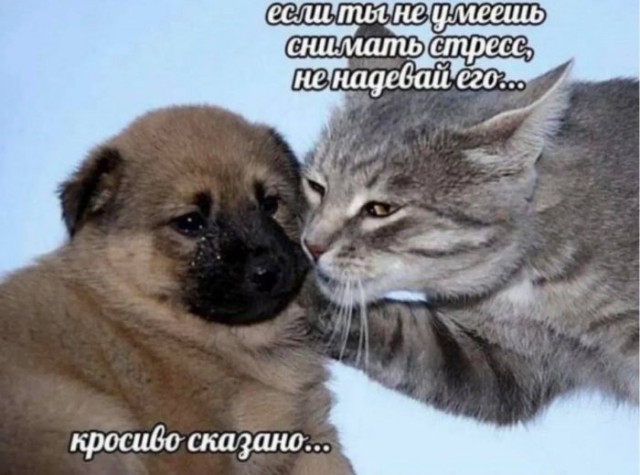 Воскресные картинки