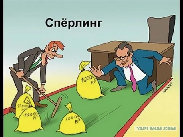 Ввести ПТС на питбайки и приравнять их к мототранспорту предложили в России