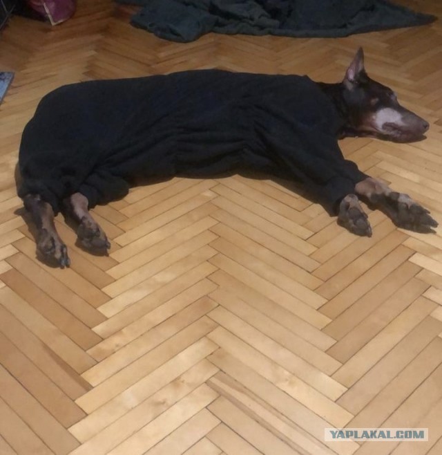 Даны больше нет