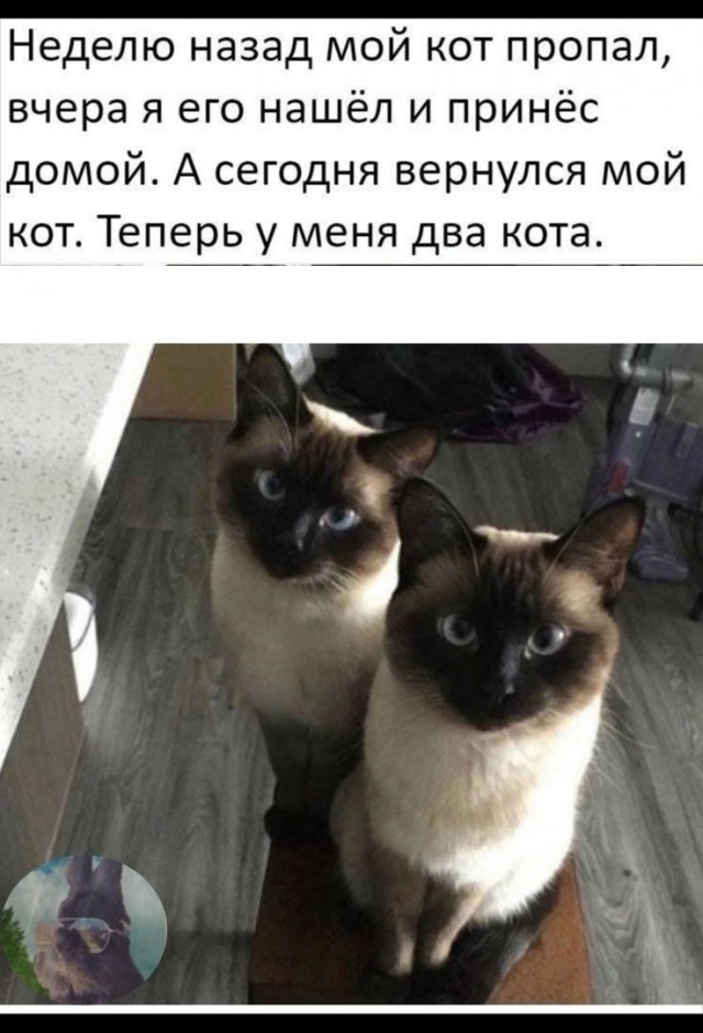Картинки для деградации 212 (разной степени свежести)