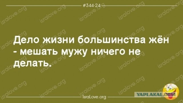 Картинки для деградации 232 (разной степени свежести)