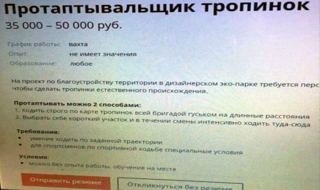 ГД приняла законопроект о благоустройстве лесных тропинок