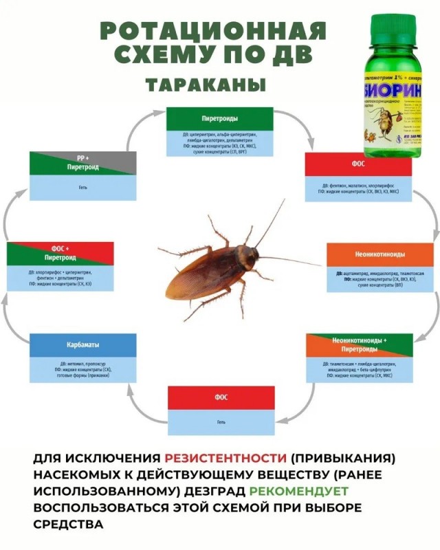 Тараканьи бега в квартире.