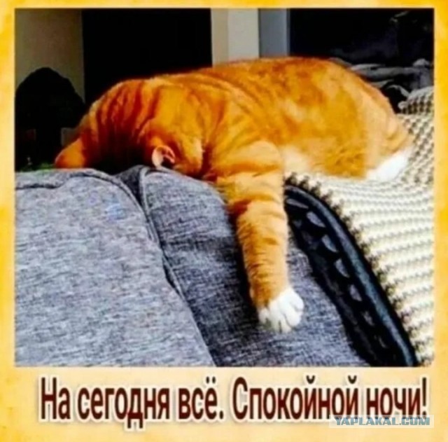 Вещие сны.