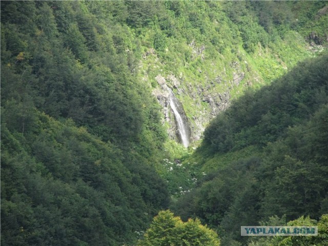 В горах. Абхазия.