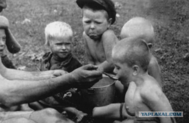 Фотографии войны 1941-1945 годов