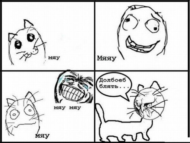 Напомнило всех постящих рожи.