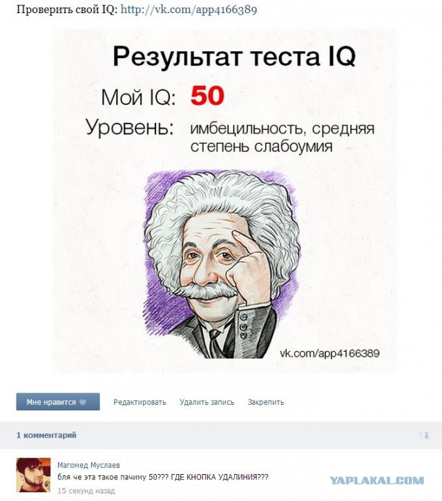 Смешные комментарии из социальных сетей