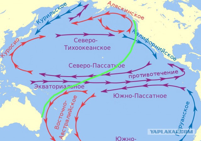 Британец пересек Тихий океан по диагонали