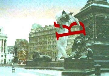 Гигантский кот растаскивает ЯПъ