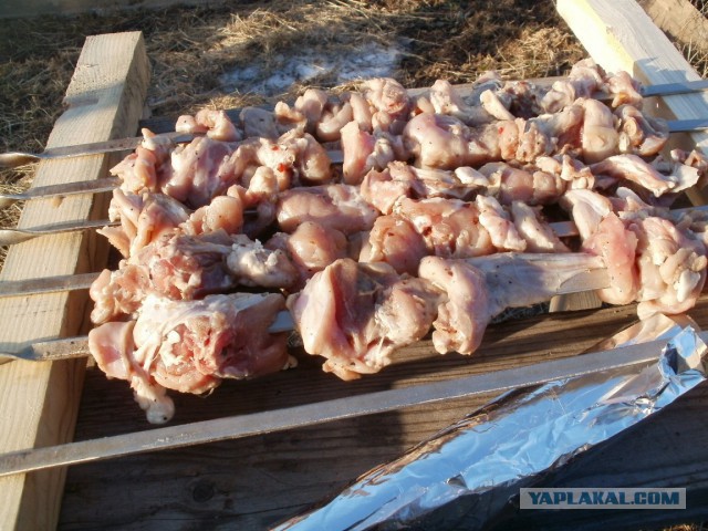 Следственный эксперимент с шашлыком