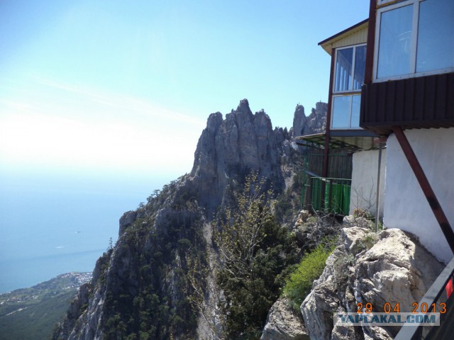 В туалете не срать!