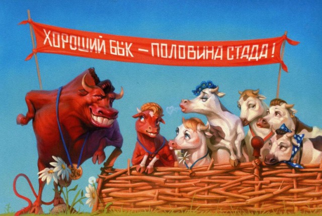 Карикатуры всякие-разные