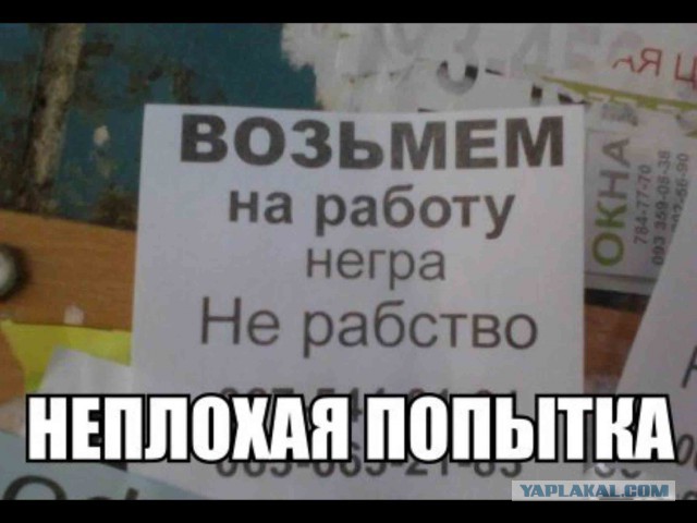 Не ниггер, а афроамериканец.