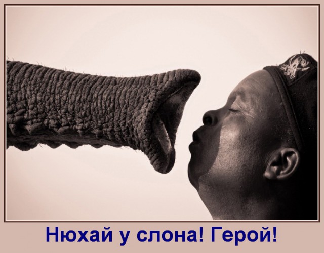 Картинки в черной рамке