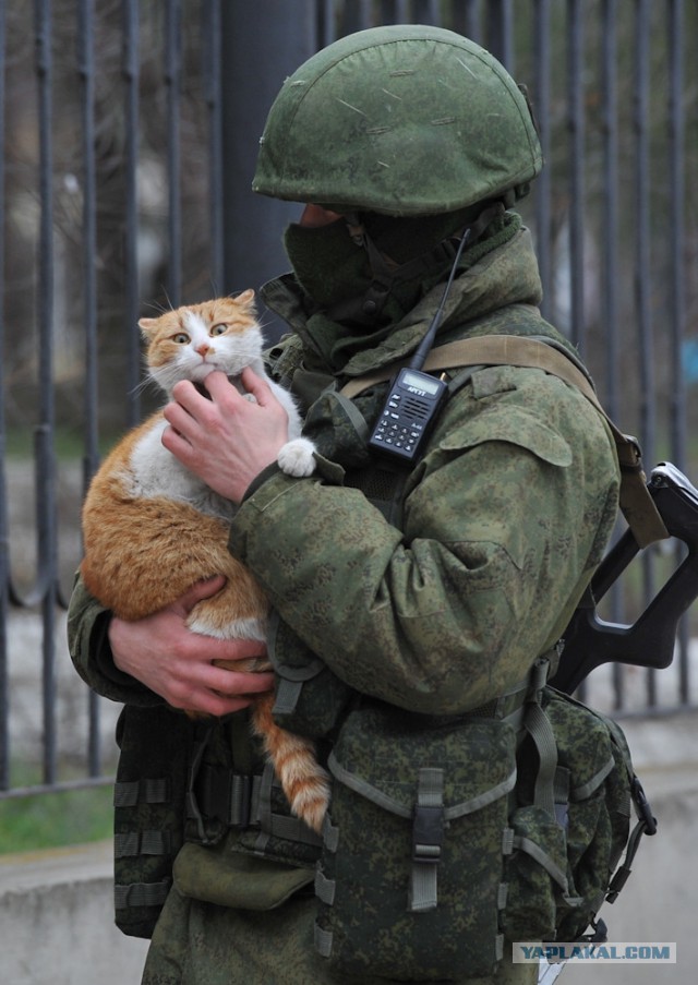 Дратути. А Путин уже ушёл?