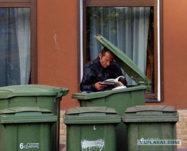 Подборка интересных и веселых картинок