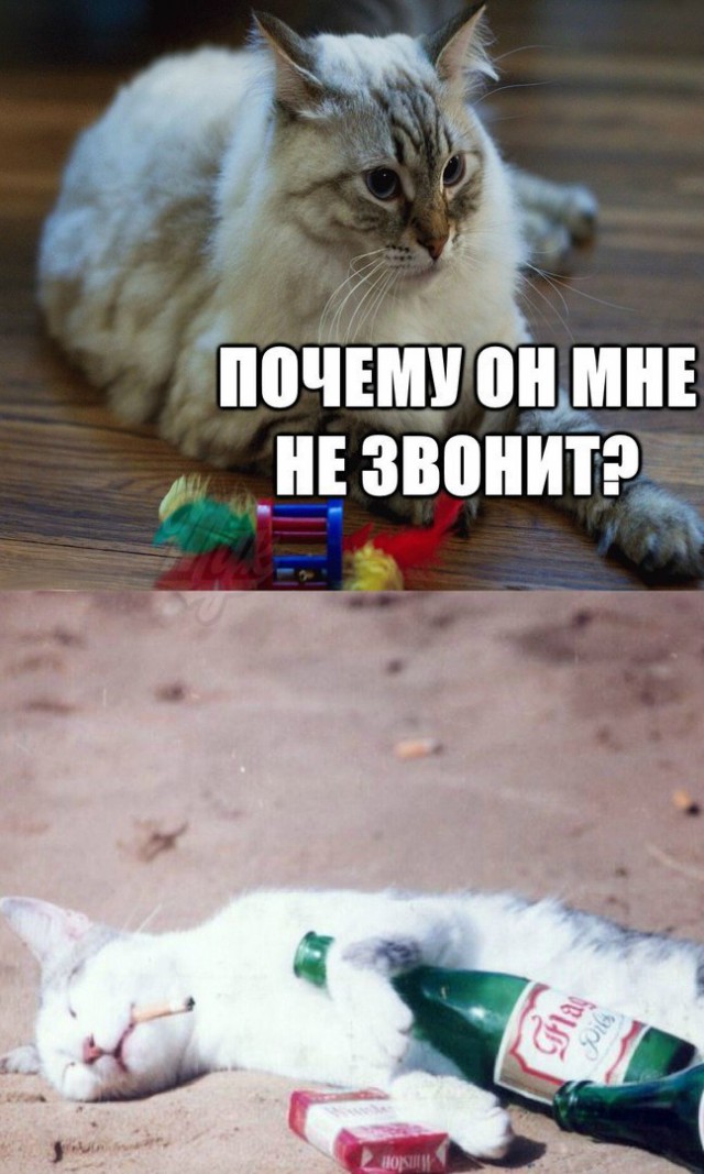 Немного деграданса - 7