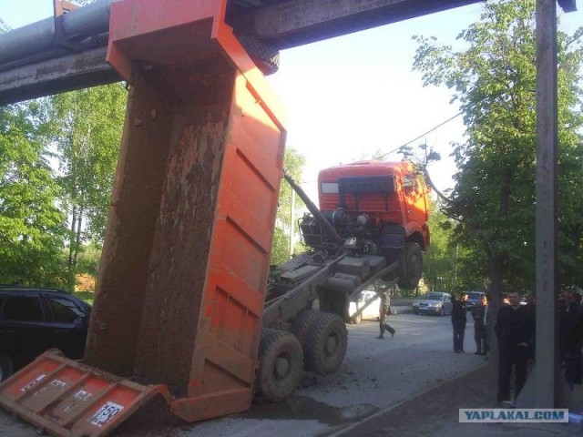 Встал на дыбы