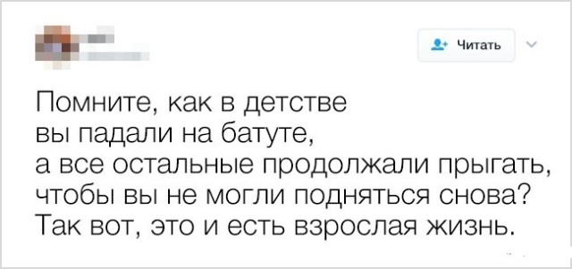 Доказательства того, что взрослая жизнь — настоящий аттракцион безумия