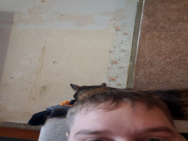Итоги проверки пользователей