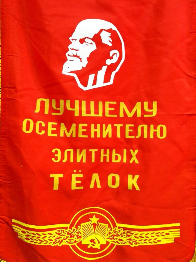 Рожальная служба (демография в опасности)
