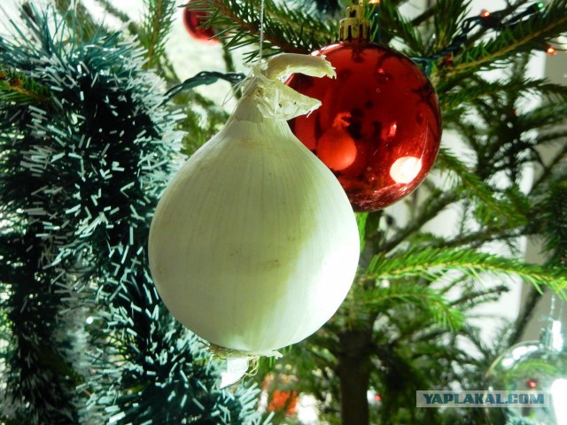 Селедка под шубой - 2019