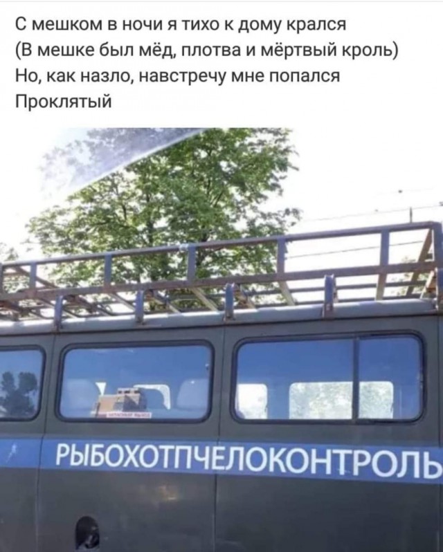 Немного картинок в эту субботу