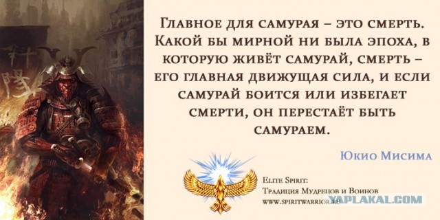 Дефицит мужчин в России: куда они деваются?