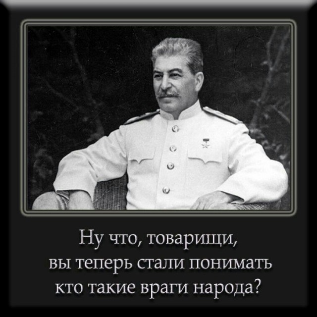 Дочь рязанского губернатора задекларировала доход в 10 млн - вдвое больше отца