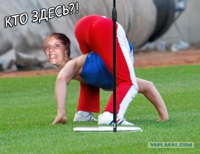 Вытянулась: картинка и 2 жабы