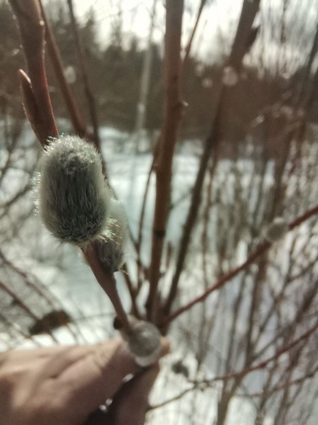 Все любят секс