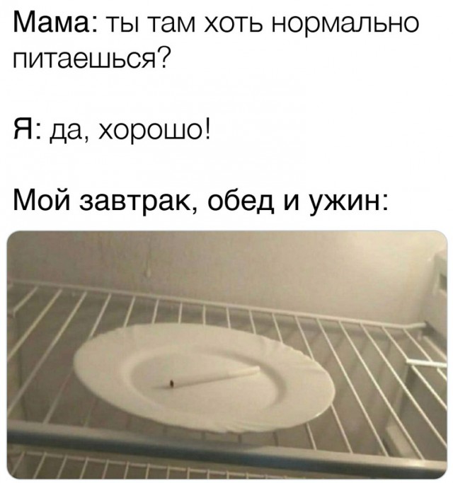 Весёлый полтишок 22.03
