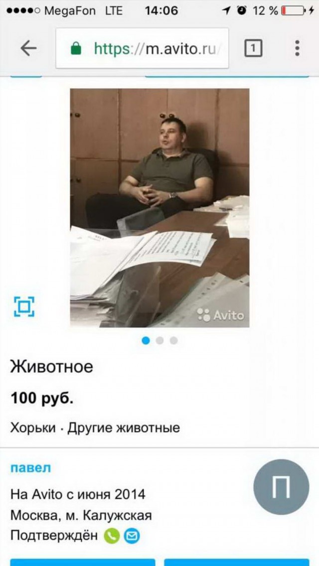 Чудики с Авито