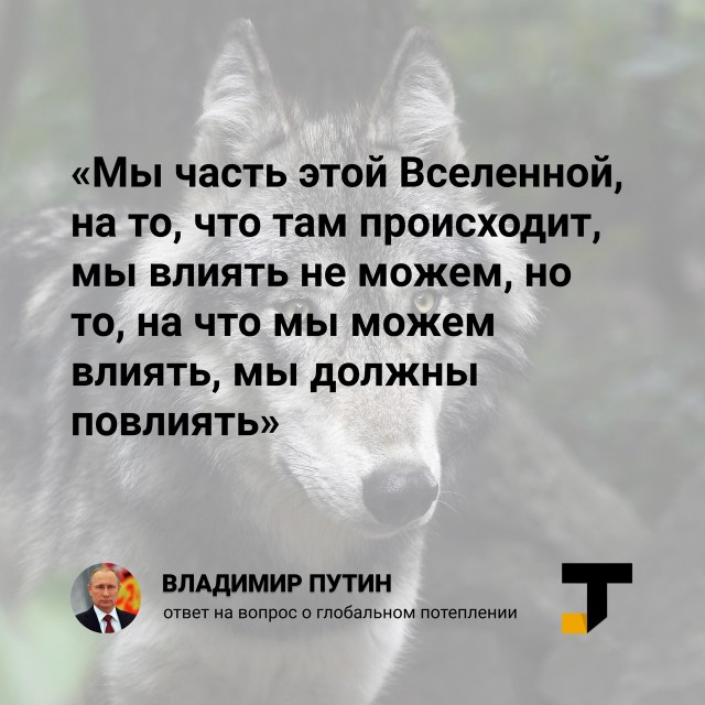 Всякое-разное (картинки) 02.07.2021