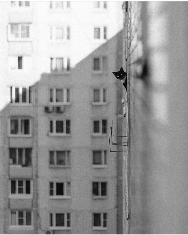 Картинки 12.09.21