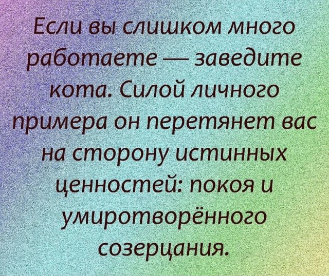 Картинки и мемы для настроения